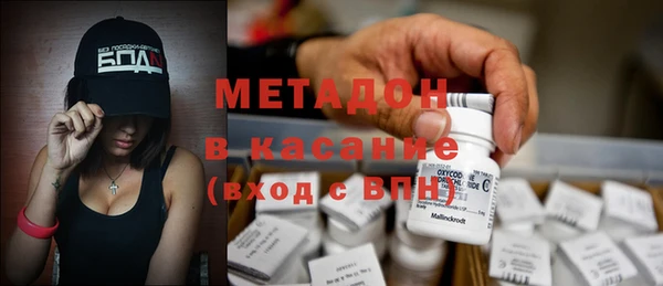 индика Карпинск
