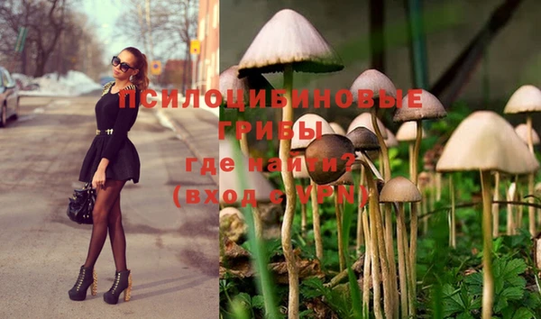 гашик Балахна