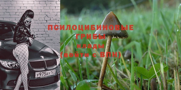 винт Иннополис