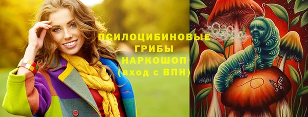 гашик Балахна