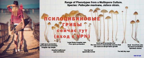 спайс Балабаново
