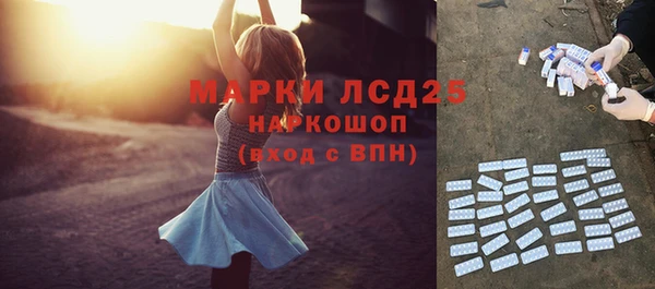 гашик Балахна